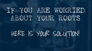 If you can't get to your colorist, take the salon with you!
